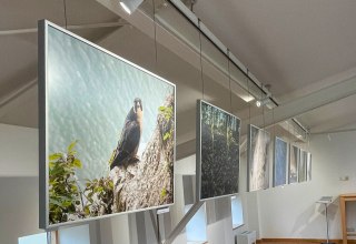 © Nationalpark-Zentrum KÖNIGSSTUHL