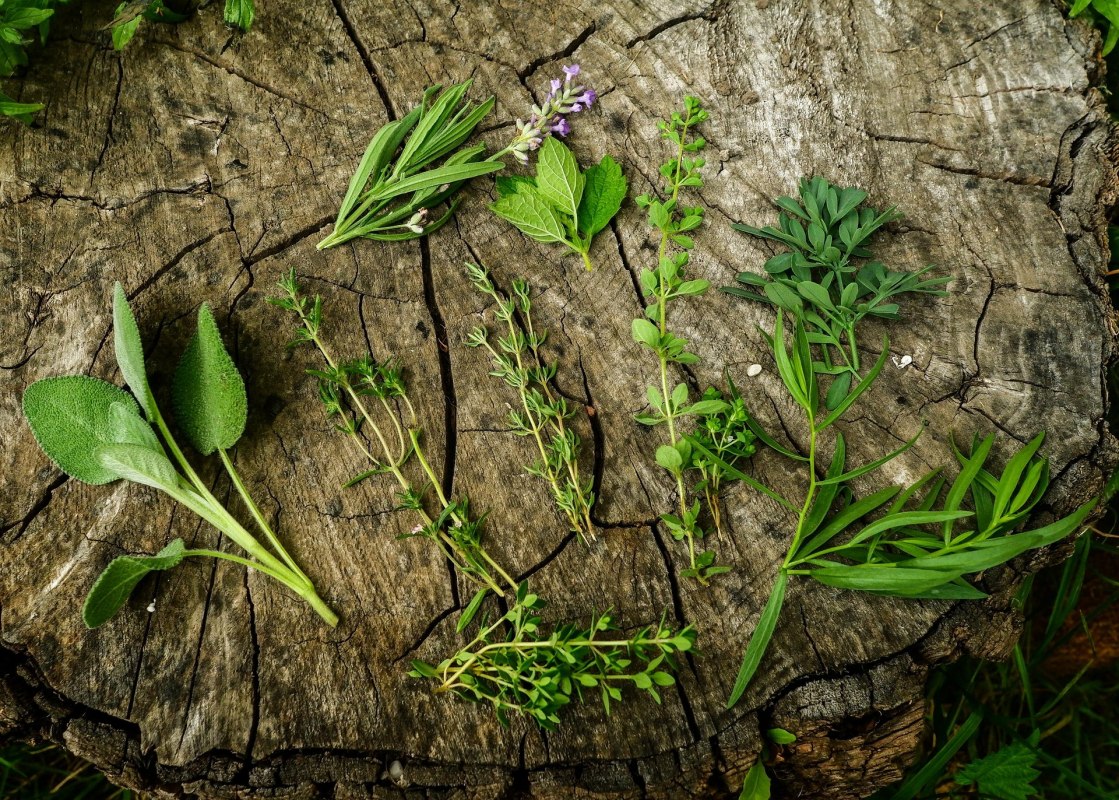 &copy; Baylay Nargang (pixabay)