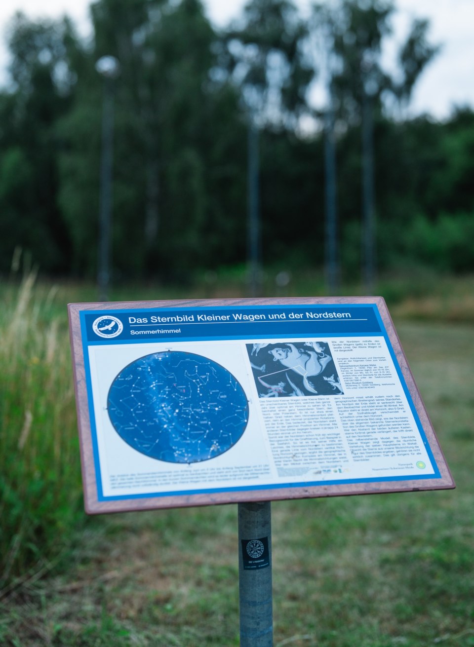 En informationstavle med et stjernekort over Lille Vogn og Nordstjernen st&aring;r ved kanten af en eng, med skoven svagt synlig i baggrunden.