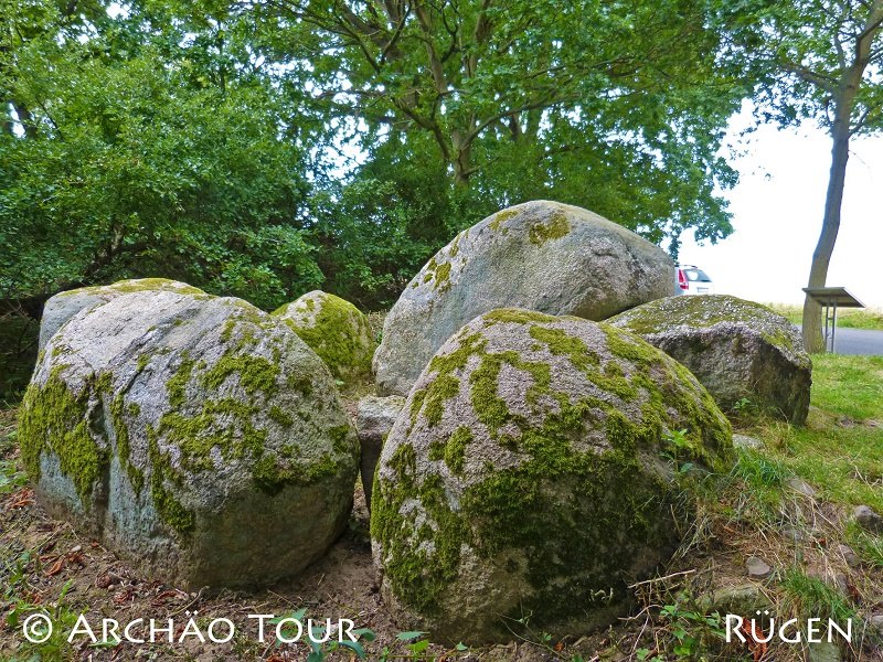 Blick auf einige Steine des Gro&szlig;steingrabes "Goldbusch" mit Infotafel // &copy; Arch&auml;o Tour R&uuml;gen