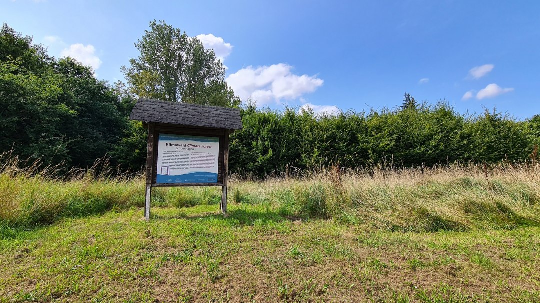 Klimawald Schuenhagen, &copy; Landesforst MV