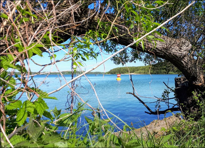 Der Schweriner Innensee // &copy; adfc-Schwerin