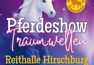Pferdeshow Traumwelten // © DE Pferdeshow Traumwelten // © DE