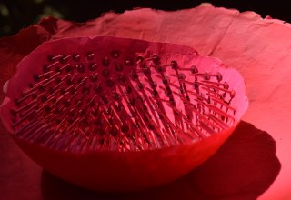 2022 I Papierschalen, Reißzwecken, Nägeln, Drahtstifte, etc. I Größen von ca. 14 x 14 cm, Höhe 5 cm bis ca. 30 x 30 cm, Höhe 10 cm, © Renate U. Schürmeyer 2022 I Papierschalen, Reißzwecken, Nägeln, Drahtstifte, etc. I Größen von ca. 14 x 14 cm, Höhe 5 cm bis ca. 30 x 30 cm, Höhe 10 cm, © Renate U. Schürmeyer