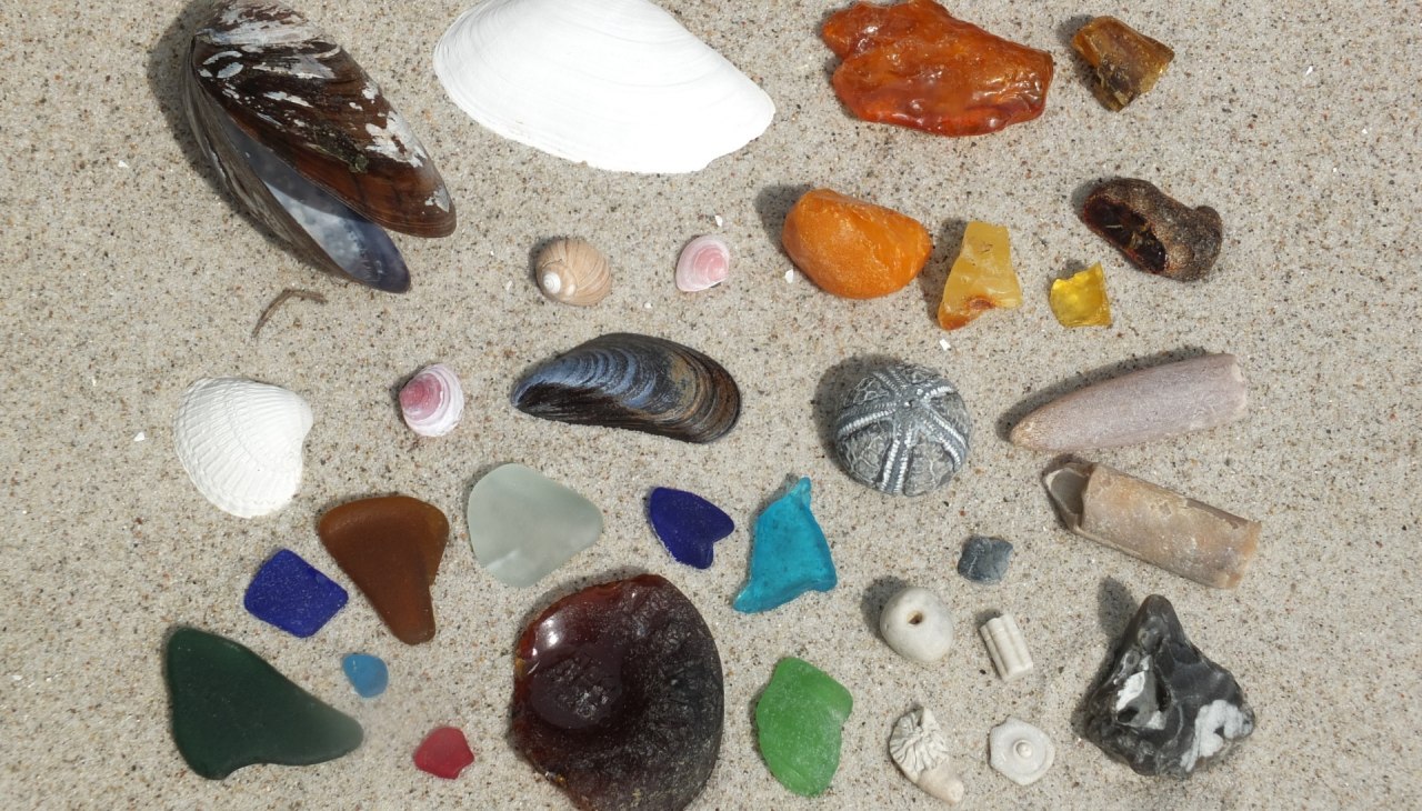 Strandfunde vom Ostseestrand, © Martin Hagemann