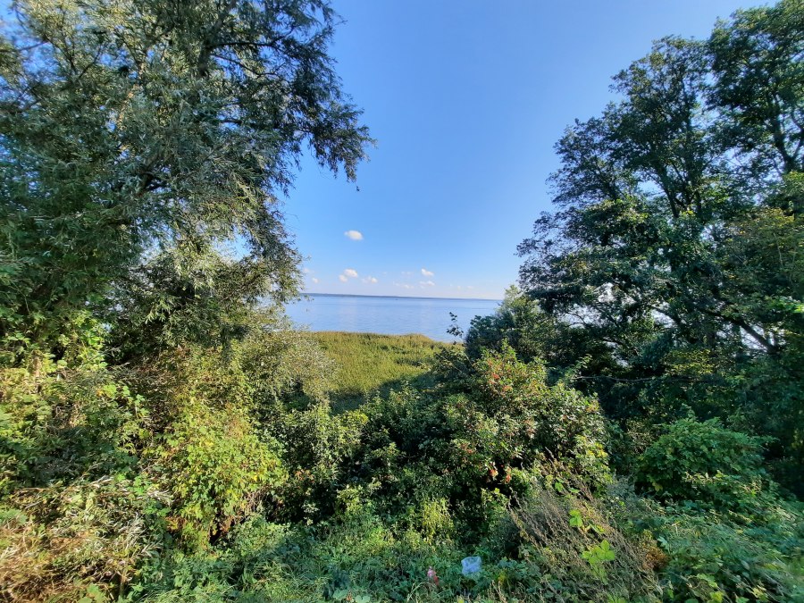 Ausblick Schutzhütte, © Waren (Müritz) Information