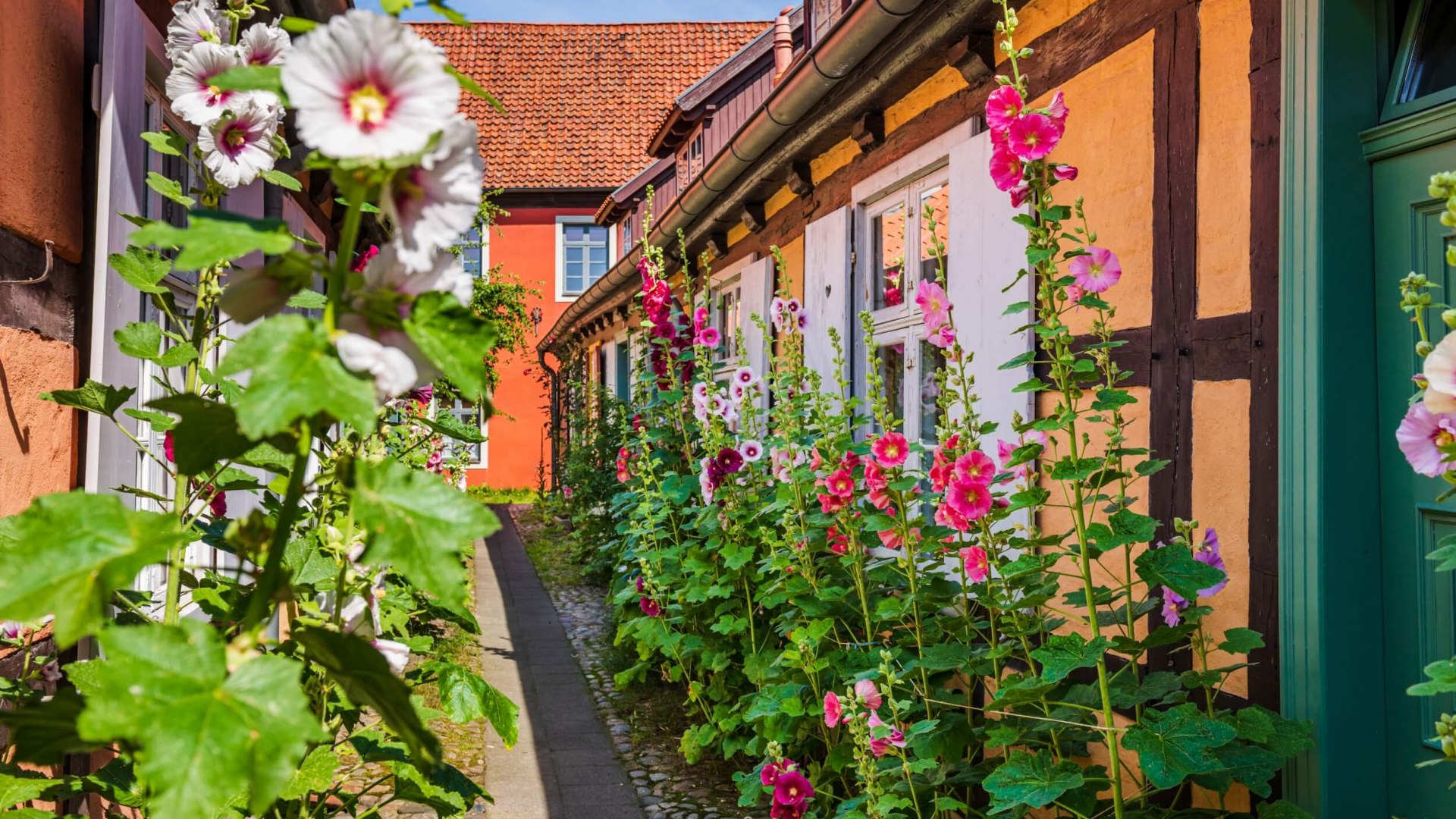 Und romantisch obendrein. Das moderne Stadtleben ist im Stralsunder Heilgeistkloster nur eine ferne Erinnerung. // © MV-T/Tiemann Und romantisch obendrein. Das moderne Stadtleben ist im Stralsunder Heilgeistkloster nur eine ferne Erinnerung. // © MV-T/Tiemann