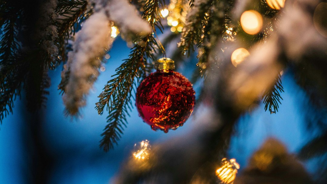 Symbolfoto, © Foto von Silas Baisch auf Unsplash Symbolfoto, © Foto von Silas Baisch auf Unsplash