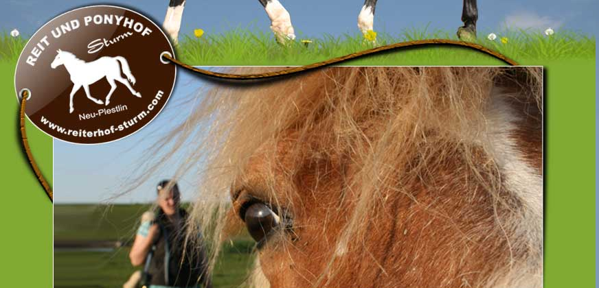 Manege Sturm, © Reiterhof STurm Manege Sturm, © Reiterhof STurm