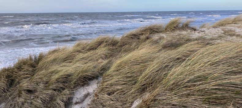 &copy; Nationalparkamt Vorpommern