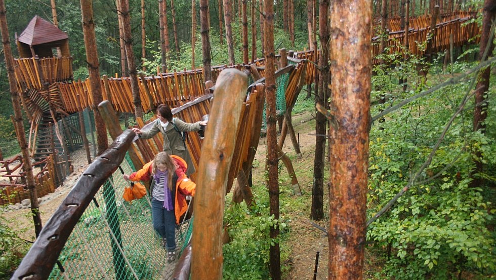 Auf abenteuerlichen Kletterpfaden geht es durch die Raubtier-WG // © Wildpark-MV Auf abenteuerlichen Kletterpfaden geht es durch die Raubtier-WG // © Wildpark-MV