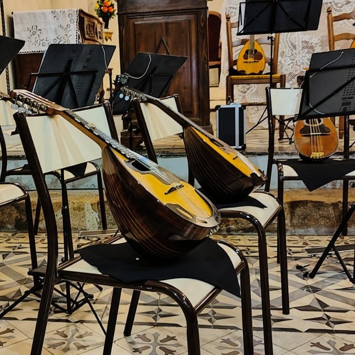 Portr&auml;t Mandoline // &copy; Langendorfer Mandolinenorchester