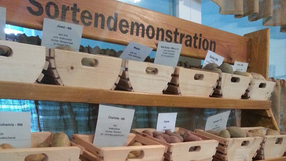 Sortenvielfalt der Kartoffel - im Kartoffelmuseum erleb- und anfassbar // &copy; Rainer Pestel