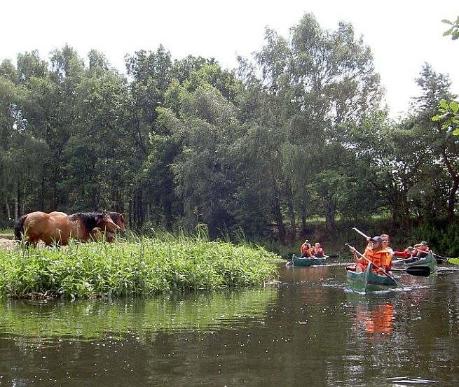 Naturidylle auf der Alten Elde, &copy; Lewitzcamp Garwitz
