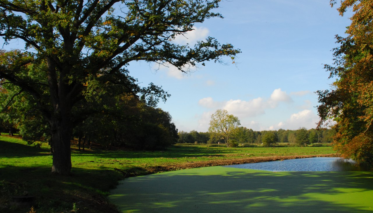Gutspark Alt Plestlin-Teich, &copy; Friedrich Diestelmeier
