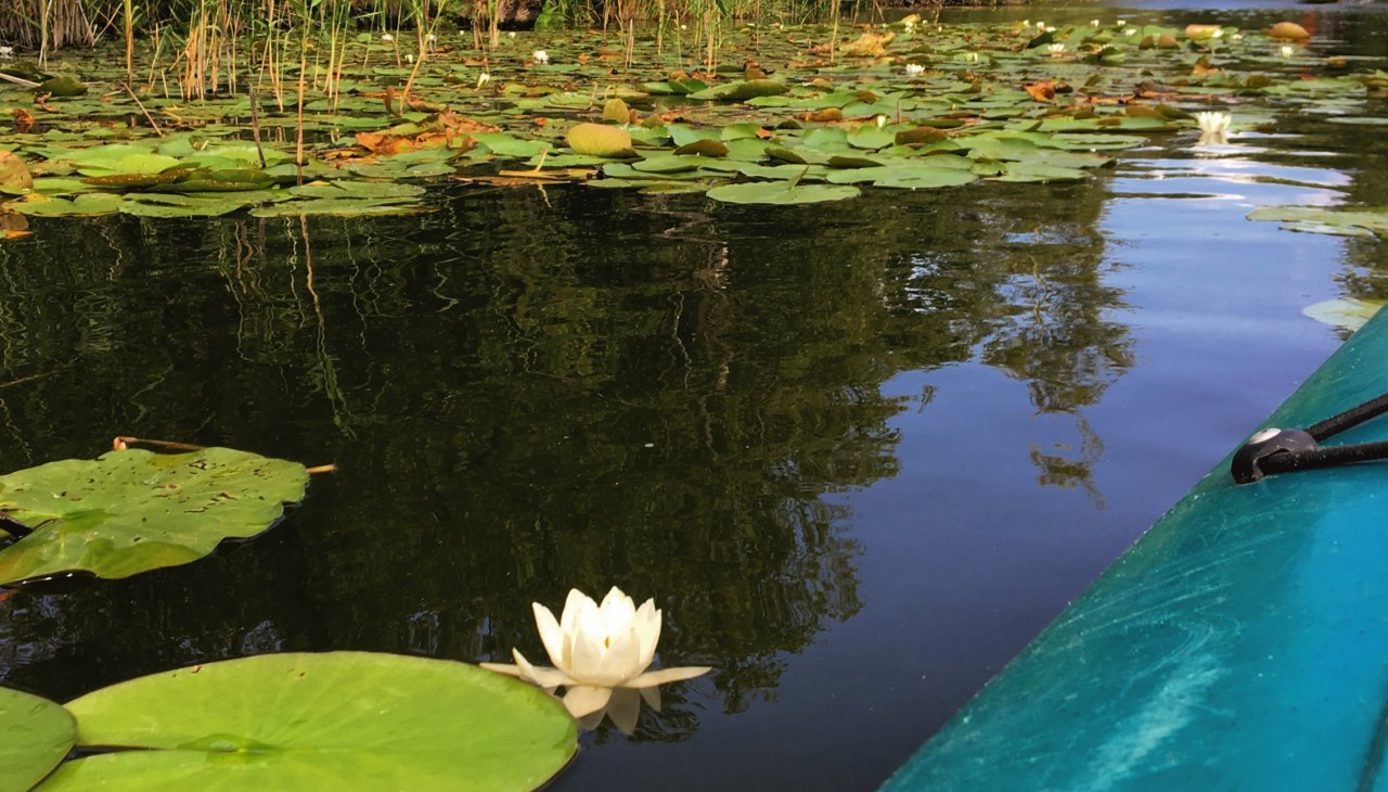 MüritzKanu, © TDG Rechlin mbH MüritzKanu, © TDG Rechlin mbH