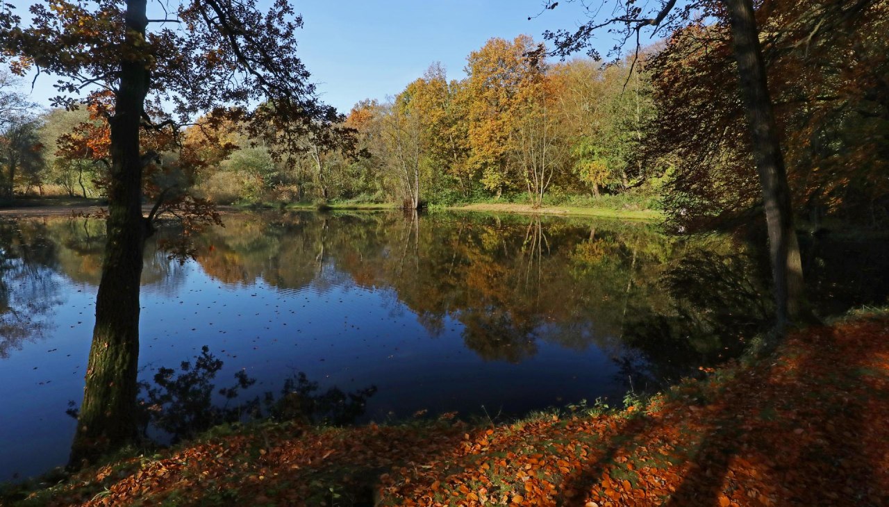 Landschaftsschutzgebiet Bekow, &copy; TMV/Gohlke