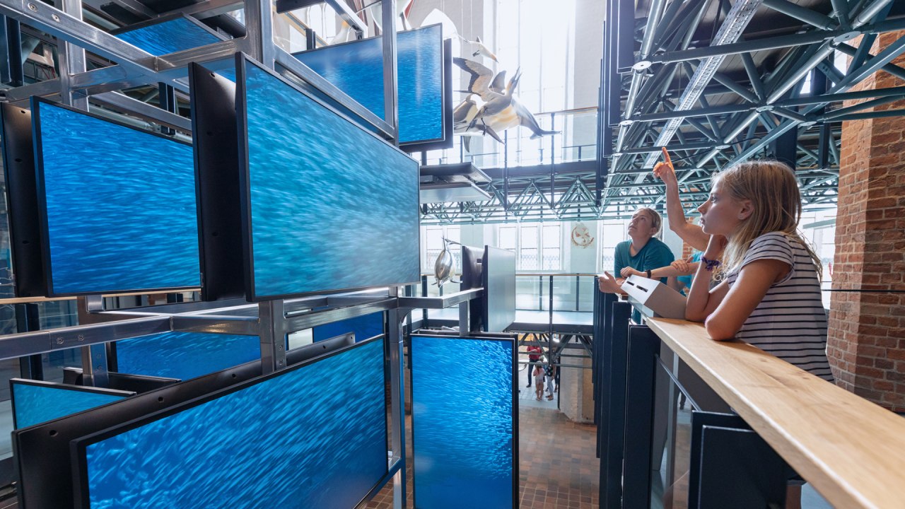 Ein medial inszenierter Sardinenschwarm ist Teil der Eingangsinstallation im MEERESMUSEUM, die von drei Stockwerken aus erlebbar ist, &copy; Anke Neumeister/Deutsches Meeresmuseum