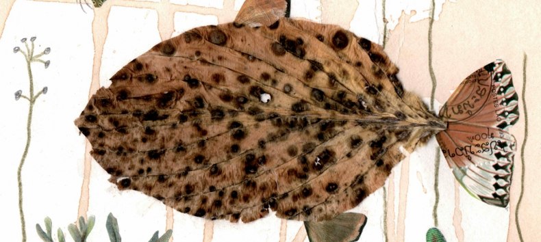 &copy; Heidrun Boddin