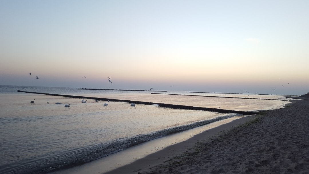 Autorenlesung mit Sandra Grüning: Glücksorte auf Usedom, © 20181016_072626.jpg Autorenlesung mit Sandra Grüning: Glücksorte auf Usedom, © 20181016_072626.jpg