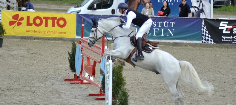 © Pina Harloff © Pina Harloff