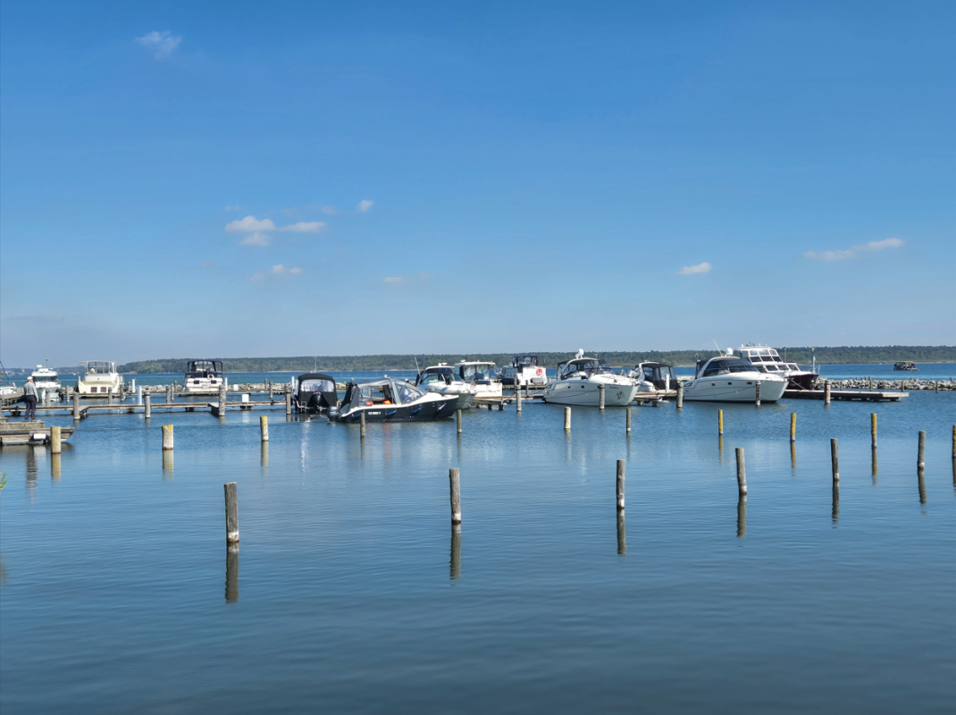 &copy; Gina Schulenberg