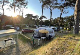 Stellplätze auf dem Campingplatz // © KV Trassenheide Stellplätze auf dem Campingplatz // © KV Trassenheide
