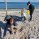 Coastal-Cleanup-day-Rostock