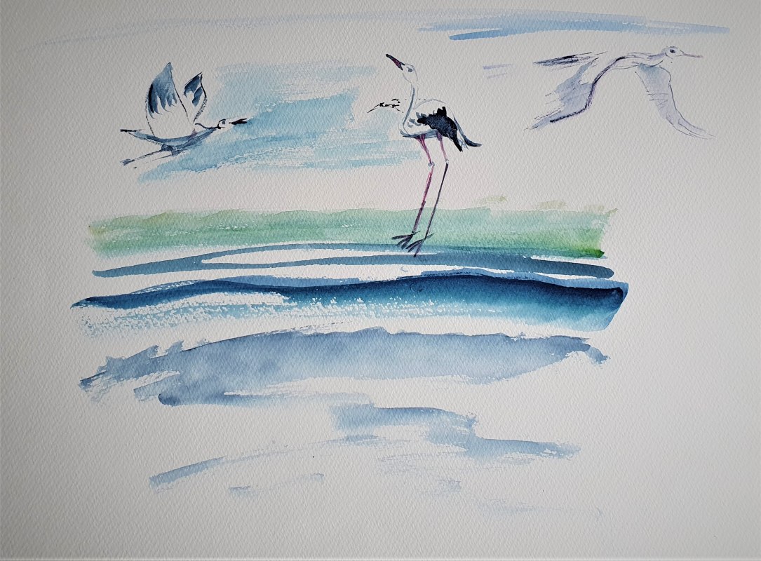 Flug und Landung der St&ouml;rche am MeerAquarelltechnik auf Papier // &copy; Heike Dittrich