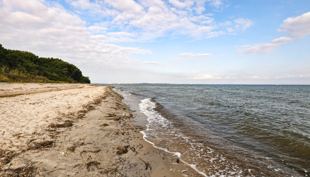 Surfspot Groß Schwansee, © TMV/Gohlke