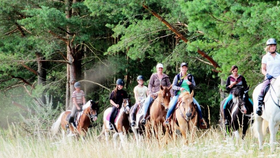 Mit der Reitanlage Mühlenberg tolle Ausritte durch die Lewitz erleben // © Reitanlage Mühlenberg/ Mario Mühlenberg Mit der Reitanlage Mühlenberg tolle Ausritte durch die Lewitz erleben // © Reitanlage Mühlenberg/ Mario Mühlenberg