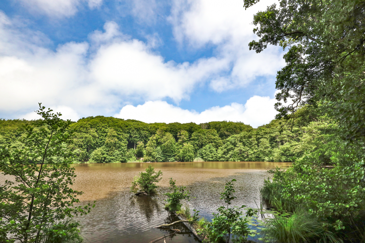 © TMV/Gohlke © TMV/Gohlke