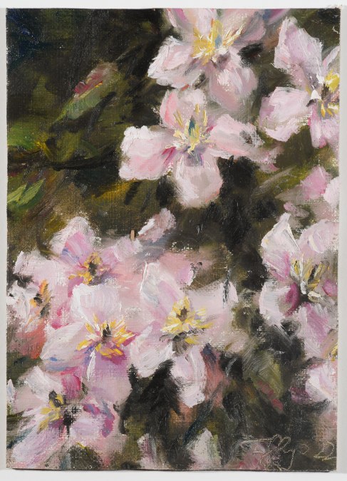 Frauke Gloyer_Clematis_2022_Olieverf op doek, &copy; Ina Steinhusen