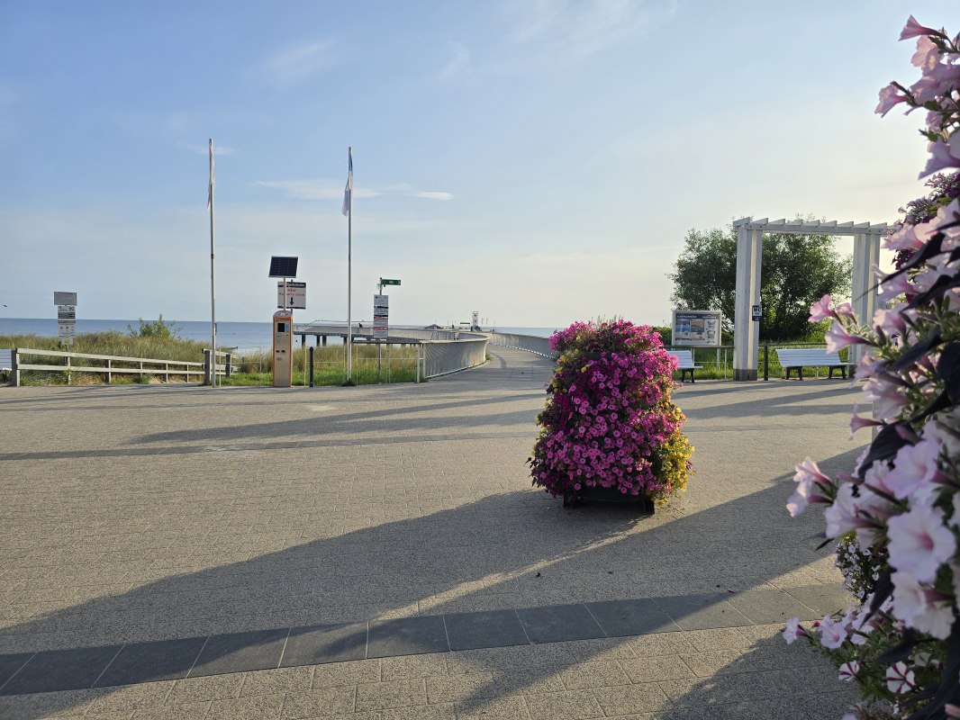 &copy; 20250807_073814.jpg