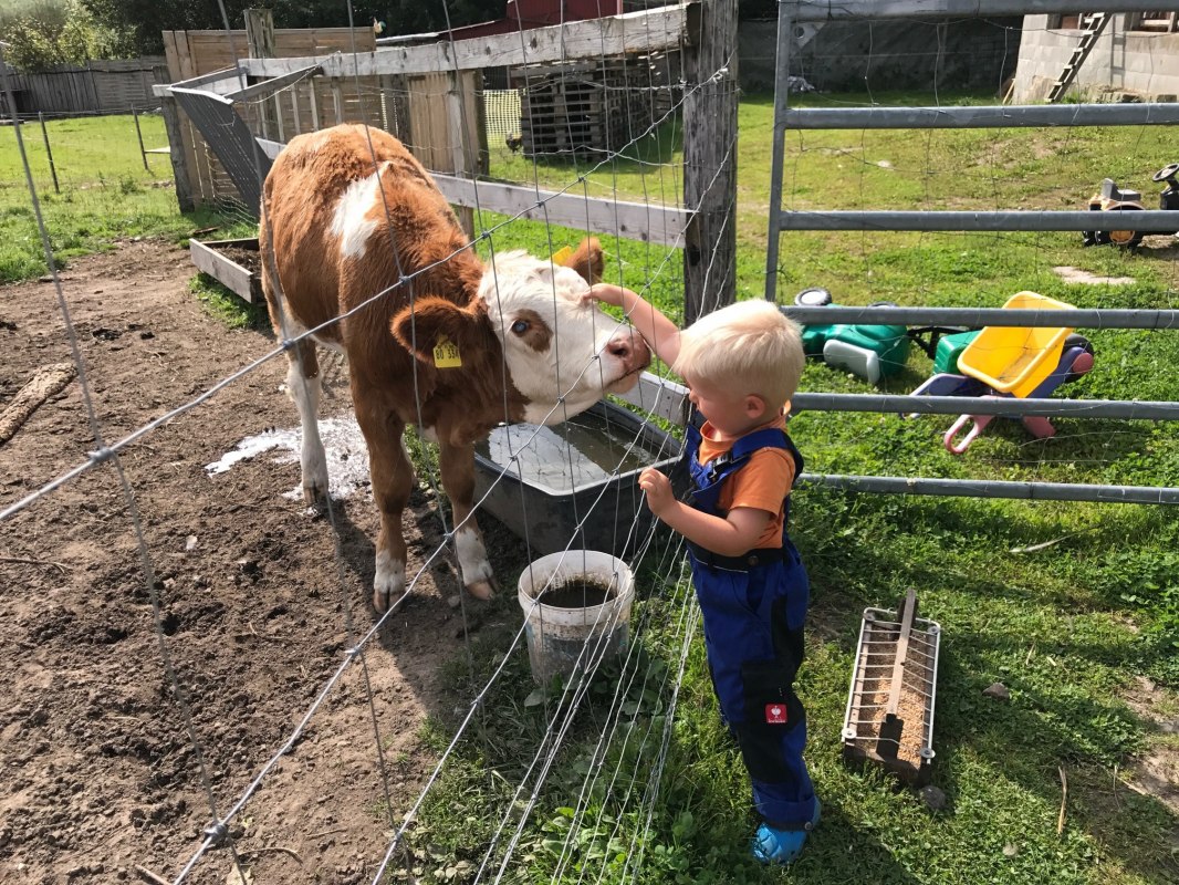 Die kleinen Besucher dürfen mich und meine Freunde besuchen, bestaunen, streicheln und natürlich auch füttern // © © Hannas Ranch Die kleinen Besucher dürfen mich und meine Freunde besuchen, bestaunen, streicheln und natürlich auch füttern // © © Hannas Ranch