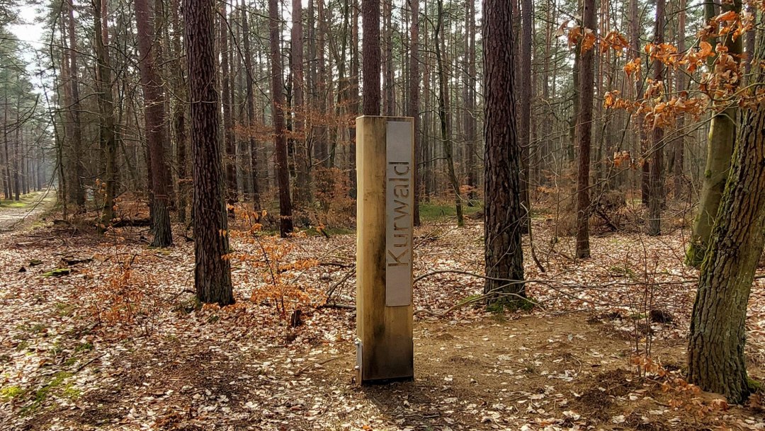 Kurwald 1 quer, © Waren (Müritz) Kur- und Tourismus GmbH