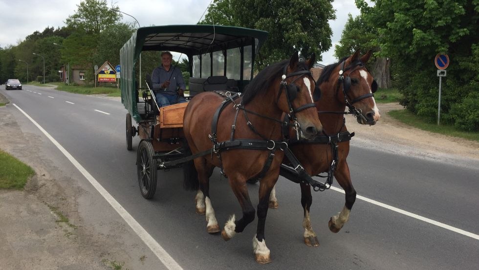 Mit dem Ferienhof Mirow eine Kutschfahrt für bis zu 25 Personen unternehmen // © Ferienhof Mirow/Mewes Mit dem Ferienhof Mirow eine Kutschfahrt für bis zu 25 Personen unternehmen // © Ferienhof Mirow/Mewes
