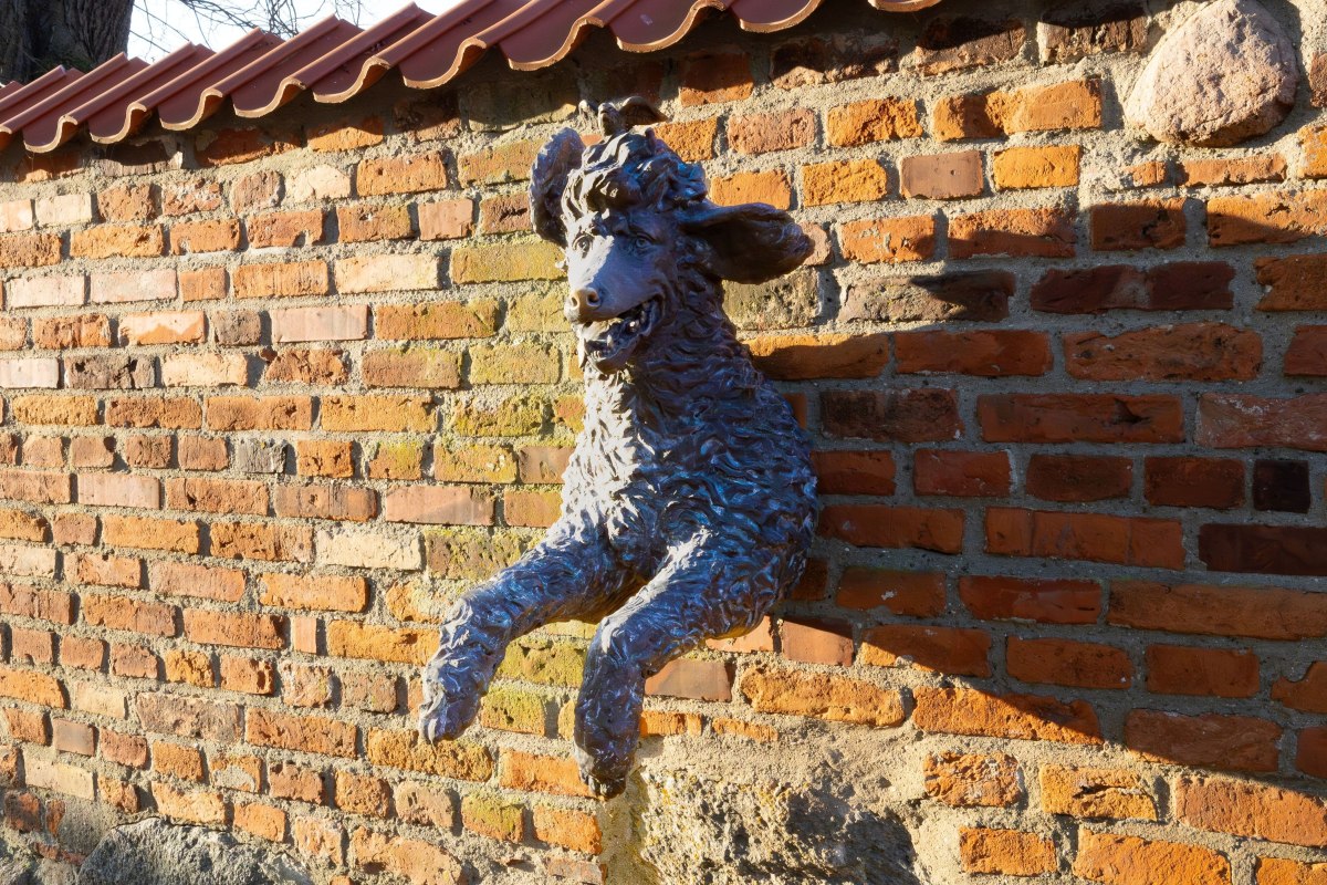 &copy; Stadt Barth | Arndt Gl&auml;ser