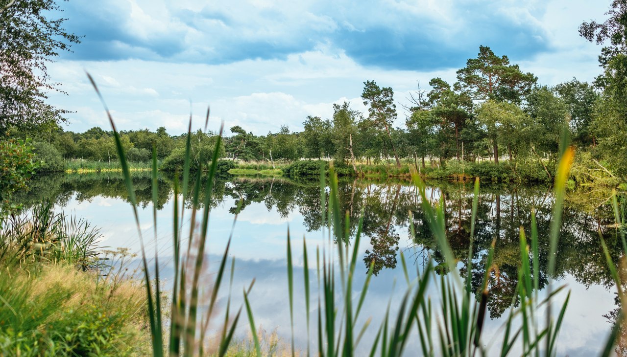 Moorwanderung, © Moorwanderung_kl.jpg Moorwanderung, © Moorwanderung_kl.jpg