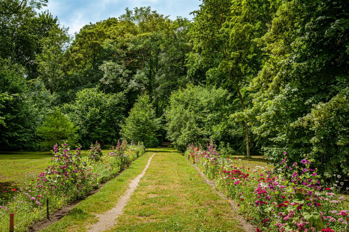Blick in den Garten des Schlosses Ludwigsburg // © MV-T/Tiemann Blick in den Garten des Schlosses Ludwigsburg // © MV-T/Tiemann