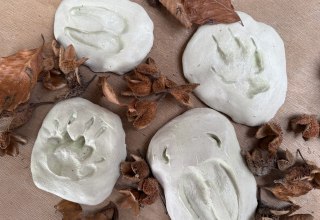 © Nationalpark-Zentrum KÖNIGSSTUHL