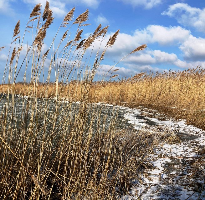 © Nationalparkamt Vorpommern