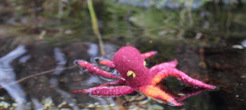 Oktopus in Filz, &copy; Feltbloom