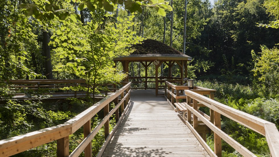 &copy; Andr&eacute; Pristaff, Tourismus- und Kur GmbH Graal-M&uuml;ritz