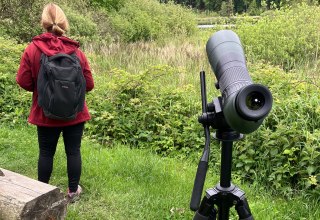 © Nationalpark-Zentrum KÖNIGSSTUHL © Nationalpark-Zentrum KÖNIGSSTUHL