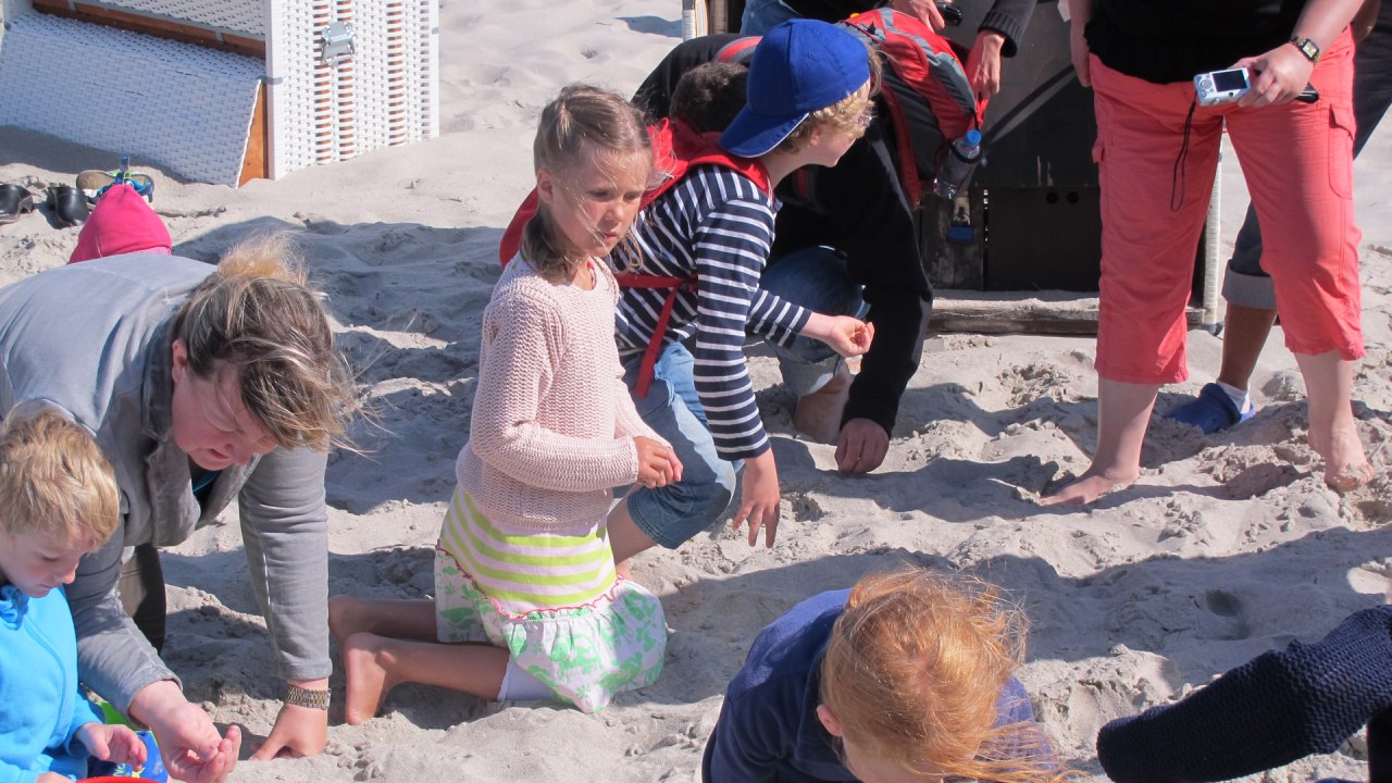 Emsige Suche nach dem Gold des Meeres, &copy; Kurverwaltung Ahrenshoop, Foto Andrea Kr&uuml;ger