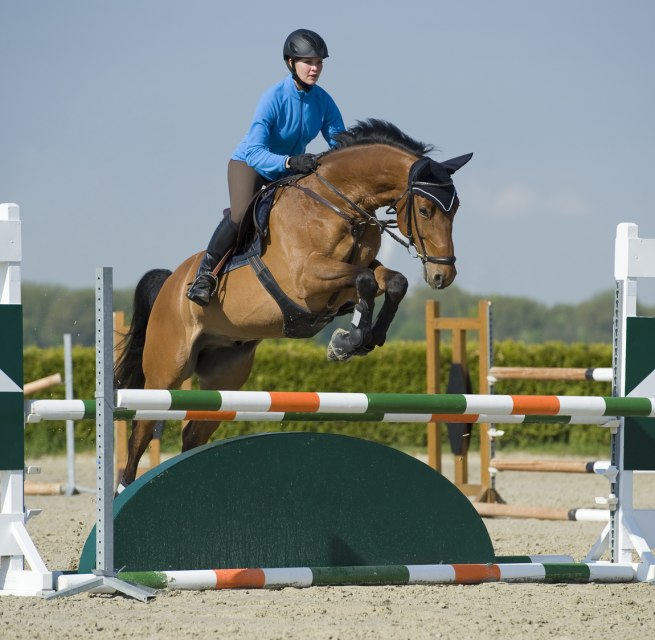 © bernsteinreiter © bernsteinreiter