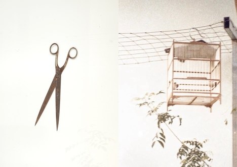© (c) Pauline Kail und Phuong Linh Pham © (c) Pauline Kail und Phuong Linh Pham