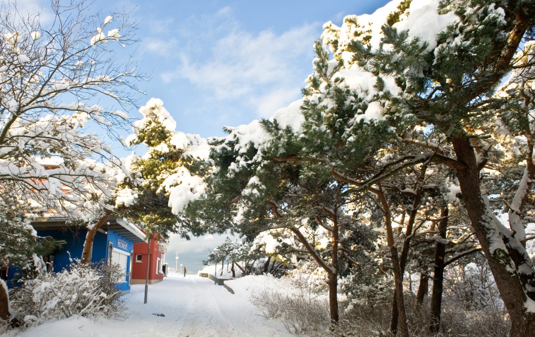 Glühweinspaziergang mit Margarethe, © glühweinspaziergang.jpg