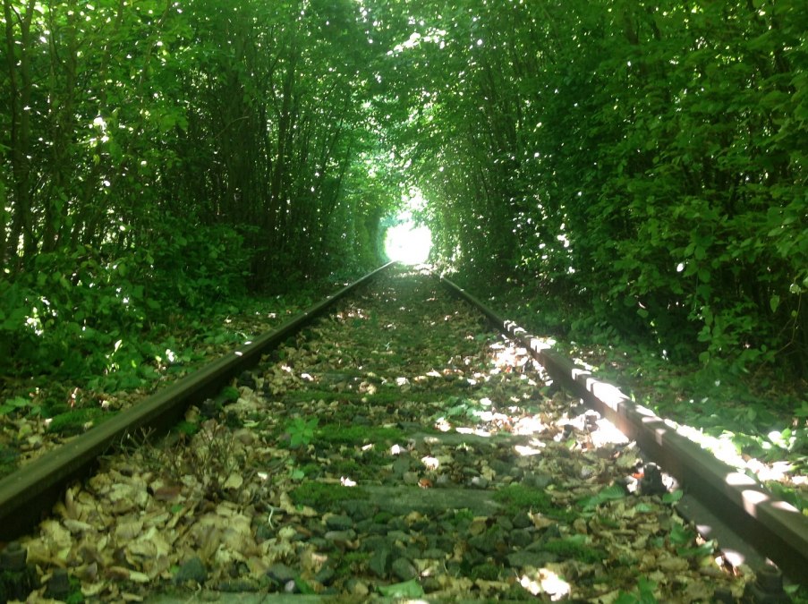 Einfahrt in den ca. 1km langen Buchentunnel, &copy; Naturpark Draisine Dargun